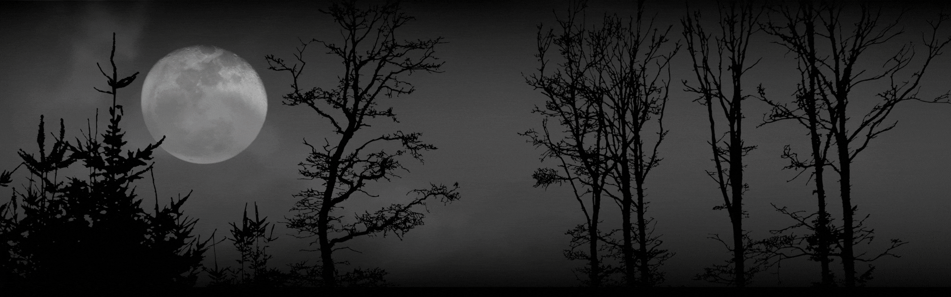 HALLOWEEN HED (5)